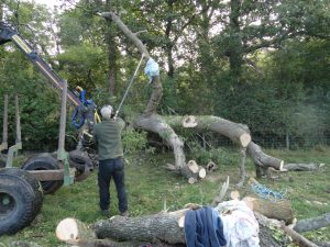 Removing the top branches