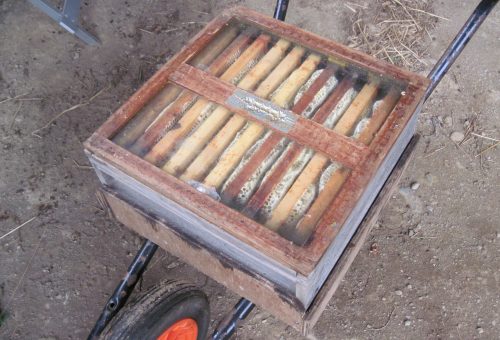 An Essential Bee Barrow