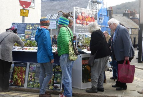 Conwy Seed Fair 2019 in pictures