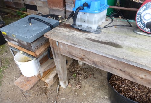 Steam beeswax extraction