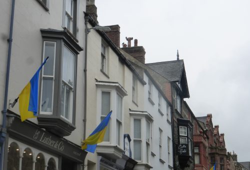 Conwy Seed Fair 2022 in pictures