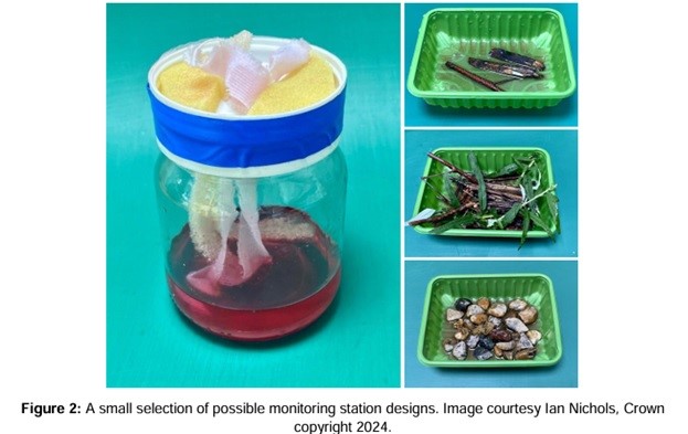 Examples of monitoring stations for yellow-legged Asian hornet
