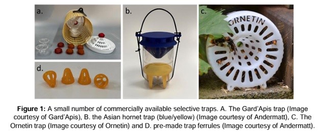 Examples of recommended selective hornet traps