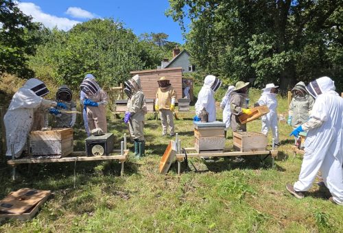 Conwy Beekeepers (CBK): 2027 Beginners Beekeeping Course