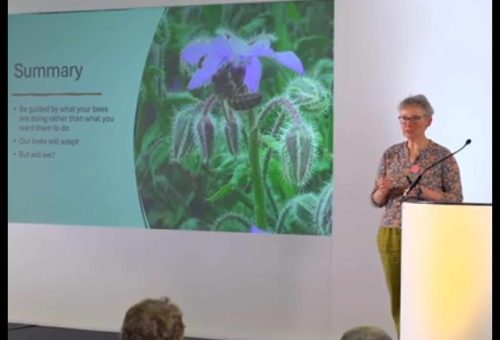 Spring Talk – Lynfa Davies